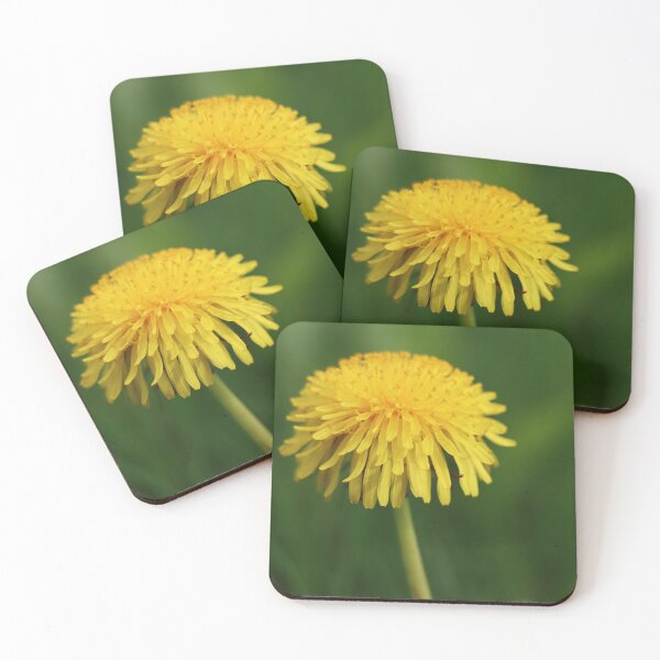 Item preview, Puffy Yellow Dandelion Closeup of Blooming Flower Against Blurred Green Background designed and sold by Jacobs-Media.
