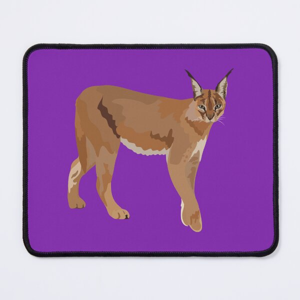 Item preview, C is for Caracal ,Caracal – Elegant Wild Cat of Africa and Asia Illustration designed and sold by PrettylittlepastelUk.