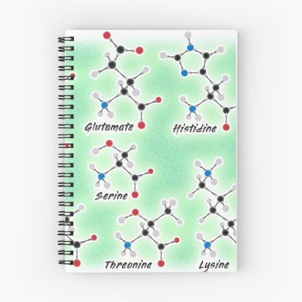 Item preview, Amino Acids - Building Blocks of Life designed and sold by WisdomOfClouds.