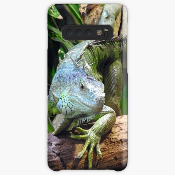 Green Iguana Samsung Galaxy Snap Case
