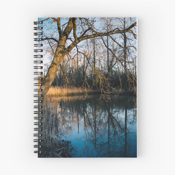 Item preview, Berlarebroek Nature Reserve, East Flanders, Belgium designed and sold by Imladris01.