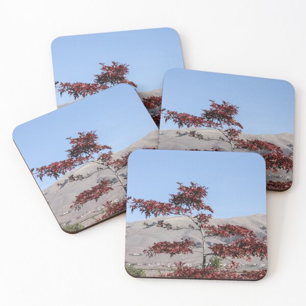 Item preview, Autumn Glory designed and sold by heatherfriedman.