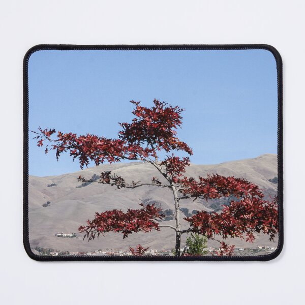 Item preview, Autumn Glory designed and sold by heatherfriedman.
