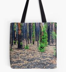 Darlimurla day 73 Tote Bag
