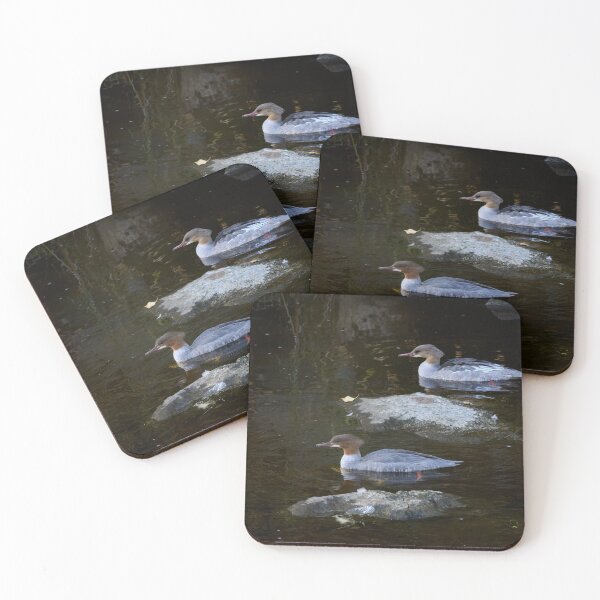 Item preview, Line with stones. Goosander designed and sold by Jouko Lehto Photography.