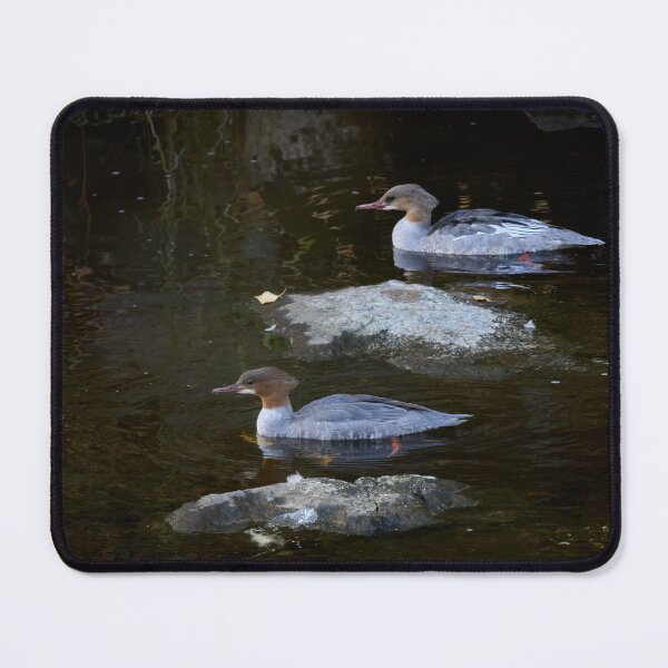 Item preview, Line with stones. Goosander designed and sold by Jouko Lehto Photography.