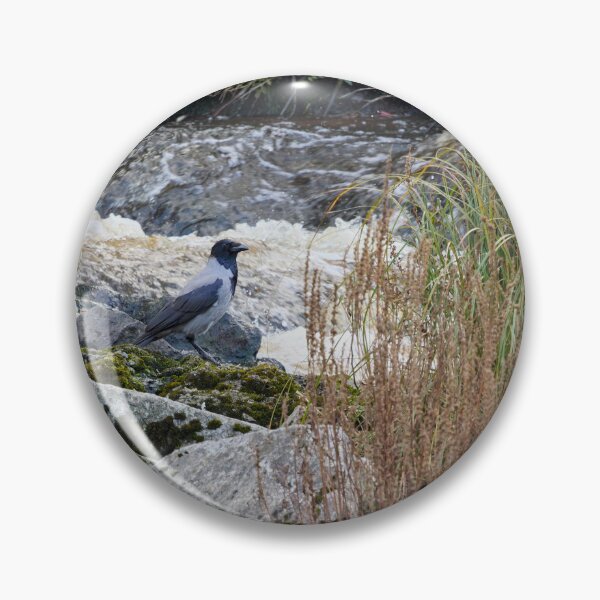 Item preview, To take a bath or not. Hooded crow designed and sold by Jouko Lehto Photography.