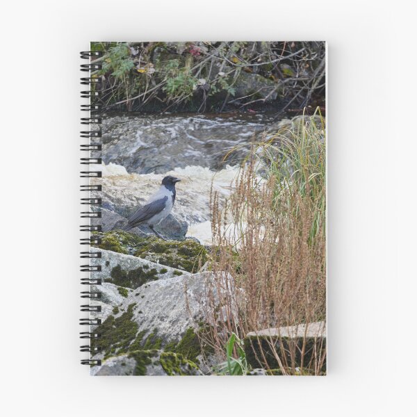 Item preview, To take a bath or not. Hooded crow designed and sold by Jouko Lehto Photography.