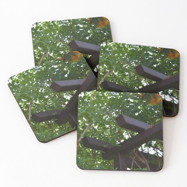 Item preview, Looking Up at Nature designed and sold by MangoSeeds.