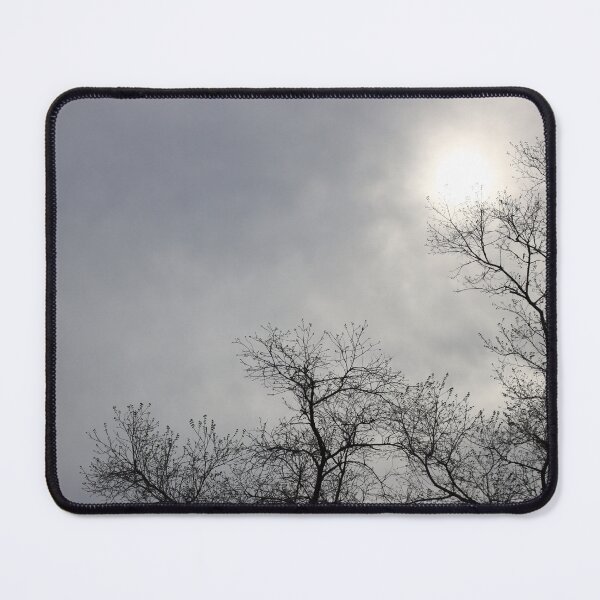 Item preview, Dark black and brown bare tree silhauette against cloudy grey sky and white sun overcast designed and sold by Jacobs-Media.