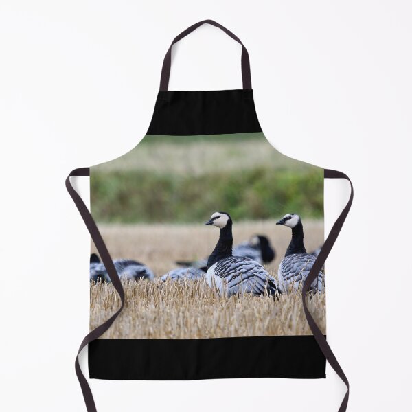 Item preview, Barnacle goose panorama designed and sold by Jouko Lehto Photography.