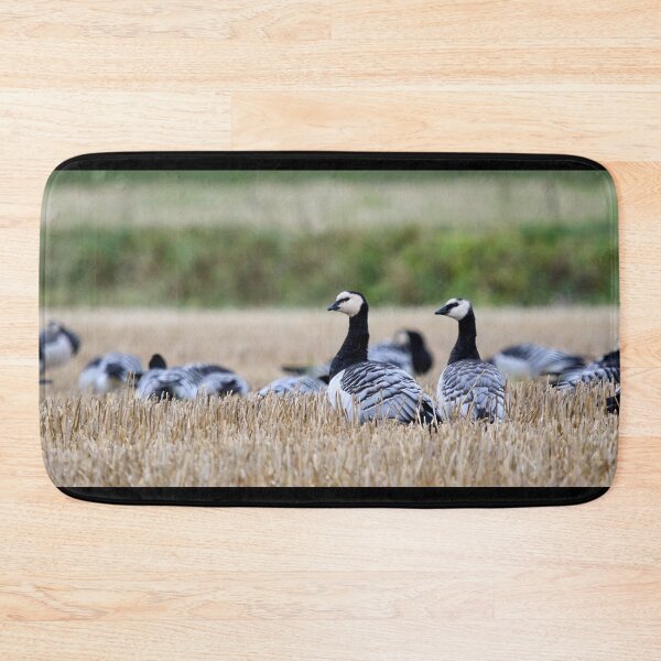 Item preview, Barnacle goose panorama designed and sold by Jouko Lehto Photography.