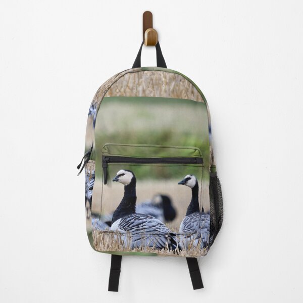 Item preview, Barnacle goose panorama designed and sold by Jouko Lehto Photography.