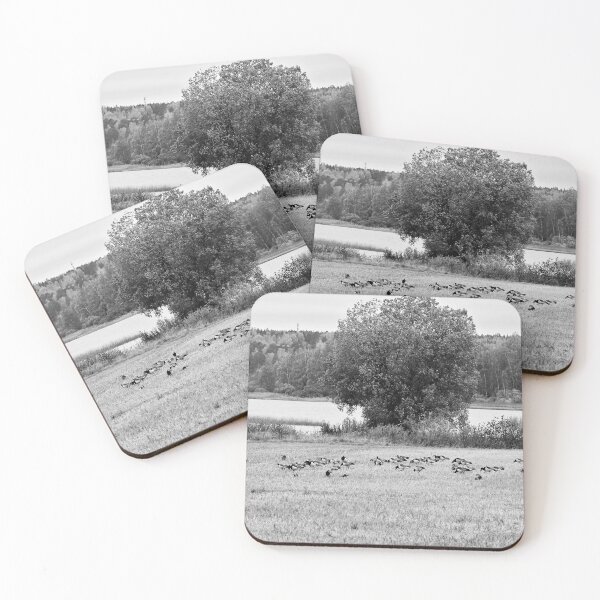 Item preview, A lake view. Barnacle goose bw designed and sold by Jouko Lehto Photography.
