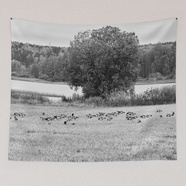 Item preview, A lake view. Barnacle goose bw designed and sold by Jouko Lehto Photography.