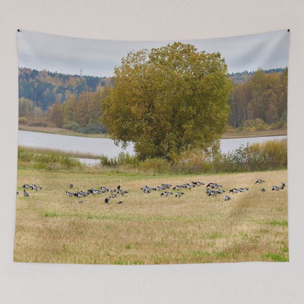 Item preview, A lake view. Barnacle goose designed and sold by Jouko Lehto Photography.
