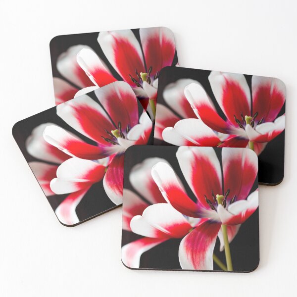 Item preview, Tulip  designed and sold by Kenziewenze.