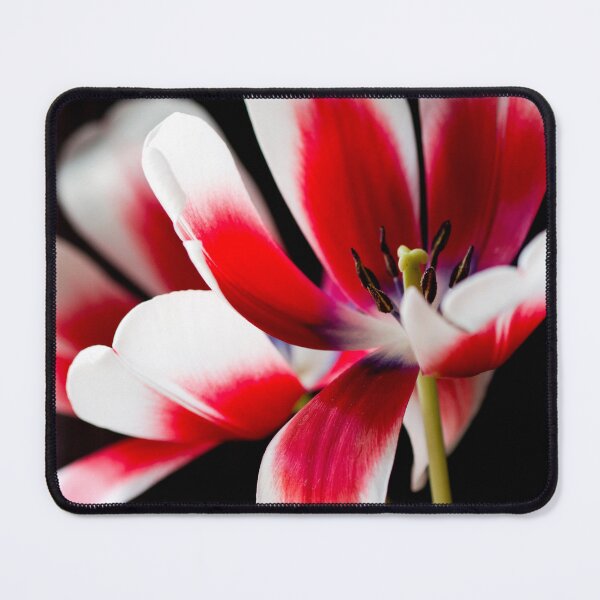 Item preview, Tulip designed and sold by Kenziewenze.