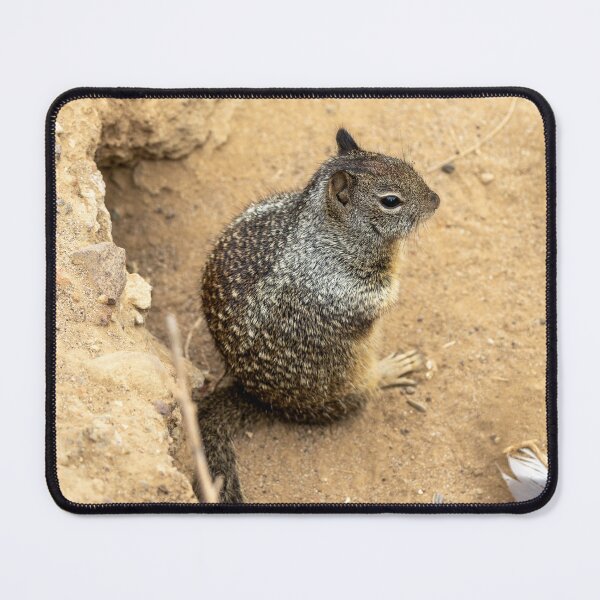 Item preview, California Ground Squirrel Peeking Out designed and sold by SafariByMarisa.