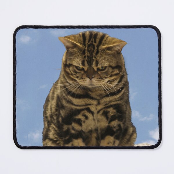 Item preview, What's That Crawling Over There? designed and sold by heatherfriedman.