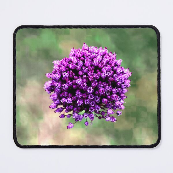 Item preview, Allium Ampeloprasum designed and sold by ontological.