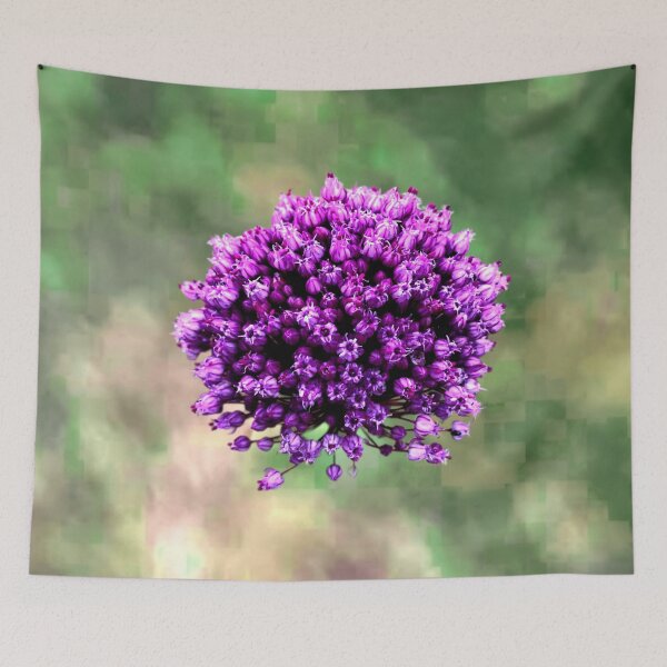Item preview, Allium Ampeloprasum designed and sold by ontological.
