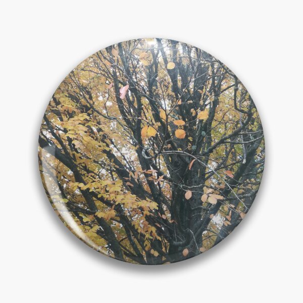 Item preview, Golden tree in autumn photograph designed and sold by esvb.