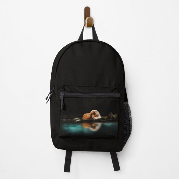 Item preview, Serenity by the Water: A Collie’s Reflection" - Photography designed and sold by MrGreenDragon.