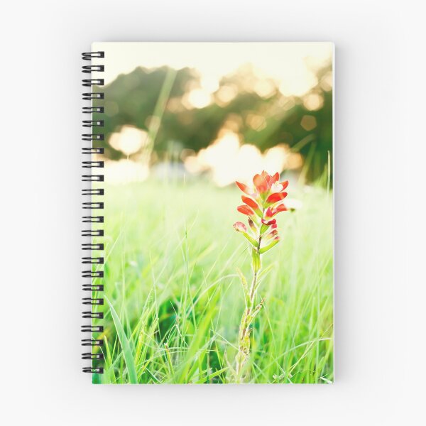 Item preview, Indian Paintbrush - Floral Photography designed and sold by Eric Ziegler.