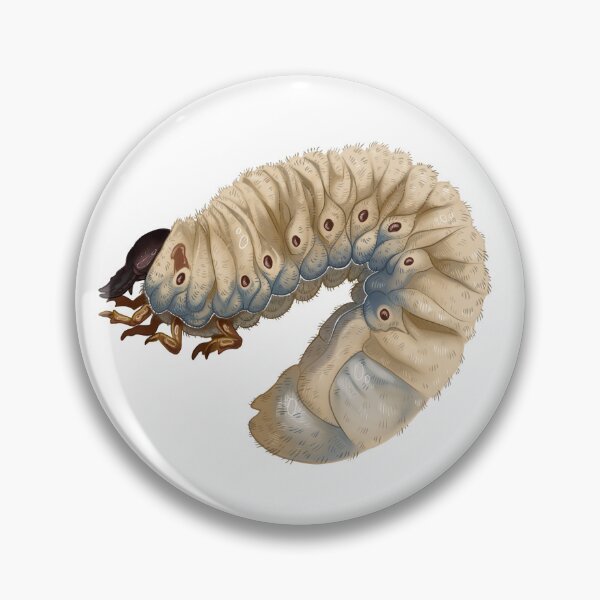 Item preview, Rhino beetle larvae designed and sold by ch0ccy-Milk.