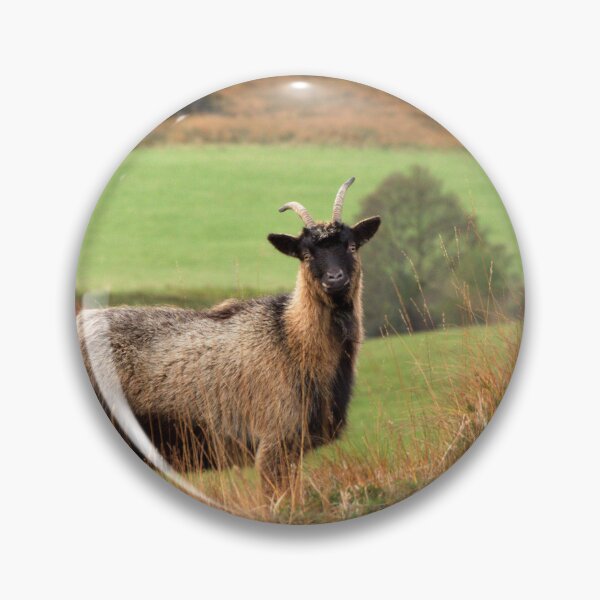 Item preview, Feral Goat designed and sold by Macrae images.