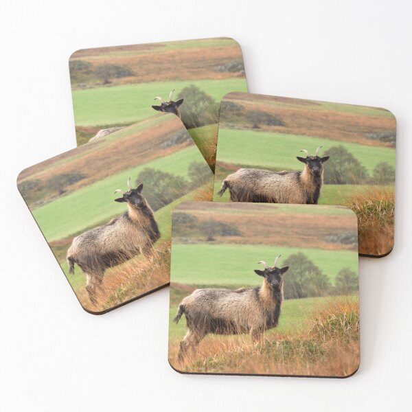 Item preview, Feral Goat designed and sold by Macrae images.