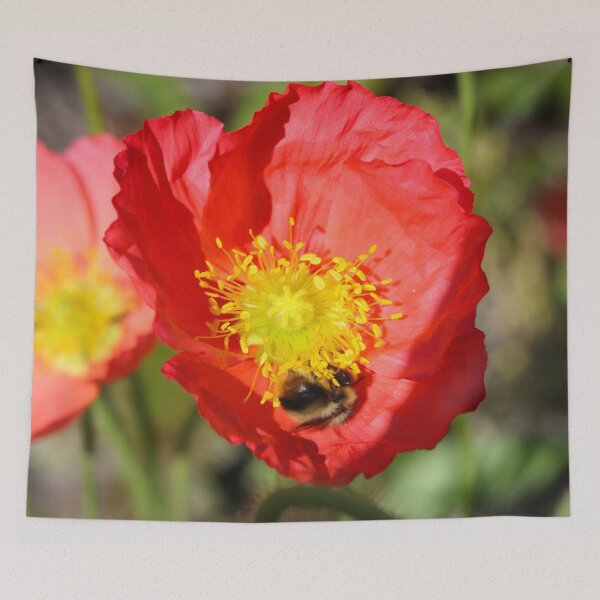 Item preview, Bee in an Orange Poppy designed and sold by Paul Morse.