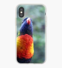 Regenbogen Lorikeet iPhone-Hülle & Cover