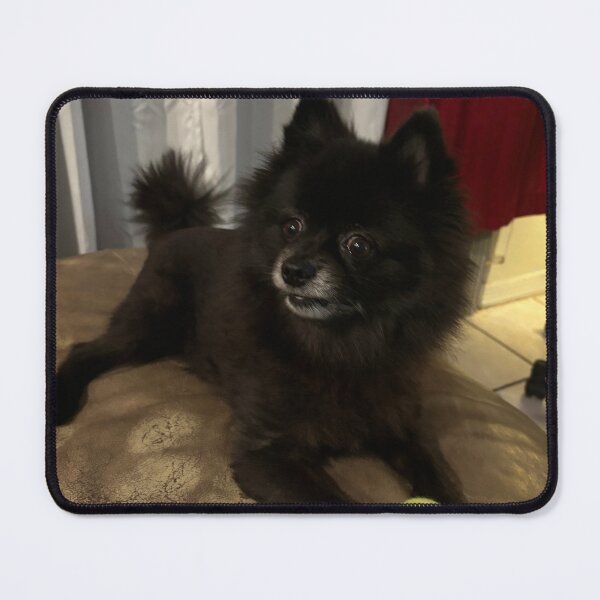 Item preview, Pomeranian pup & toy ball designed and sold by BasketKisses.