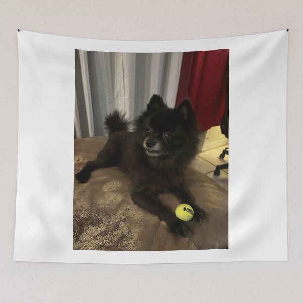 Item preview, Pomeranian pup & toy ball designed and sold by BasketKisses.