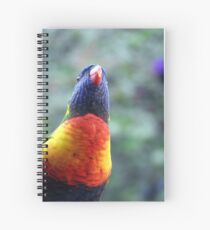 Rainbow Lorikeet Spiral Notebook