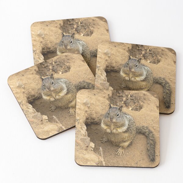 Item preview, Cute Ground Squirrel Looking for Nuts designed and sold by SafariByMarisa.