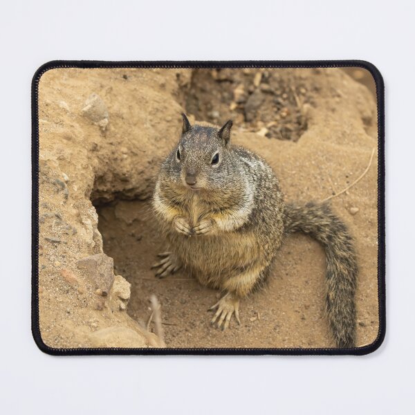 Item preview, Cute Ground Squirrel Looking for Nuts designed and sold by SafariByMarisa.
