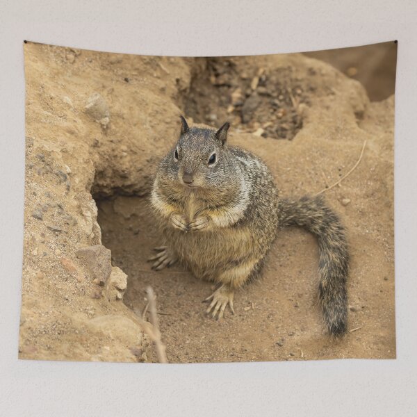Item preview, Cute Ground Squirrel Looking for Nuts designed and sold by SafariByMarisa.