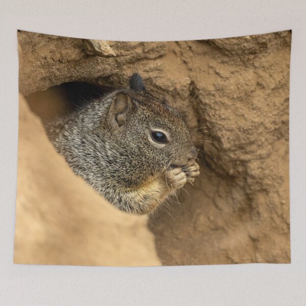Item preview, Ground Squirrel Nibbling on Food designed and sold by SafariByMarisa.