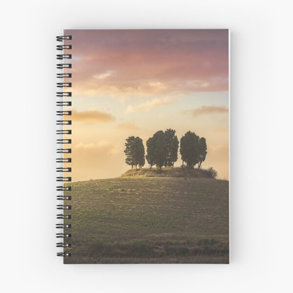 Item preview, Cypress grove in Tuscany designed and sold by Stefano Orazzini.
