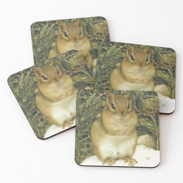Item preview, Chipmunk on Rock Surrounded by Grass designed and sold by CountyKent.