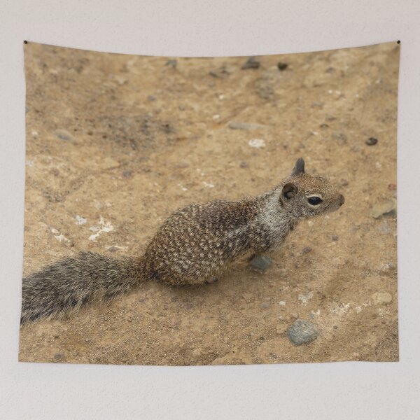 Item preview, Curious Little Baby Ground Squirrel designed and sold by SafariByMarisa.