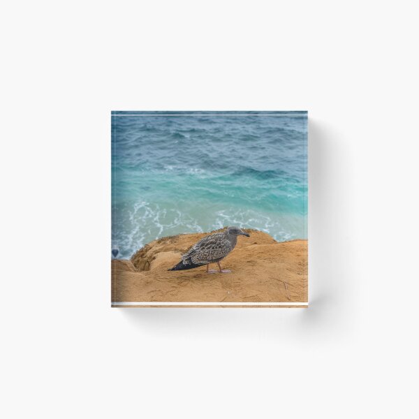 Item preview, Gray Gull with Blue Water designed and sold by SafariByMarisa.