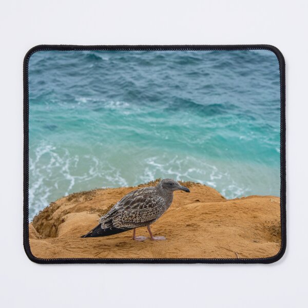 Item preview, Gray Gull with Blue Water designed and sold by SafariByMarisa.