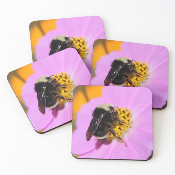 Artikelvorschau, Große Hummel auf rosa Kosmosblume entworfen und verkauft von Paul Morse.