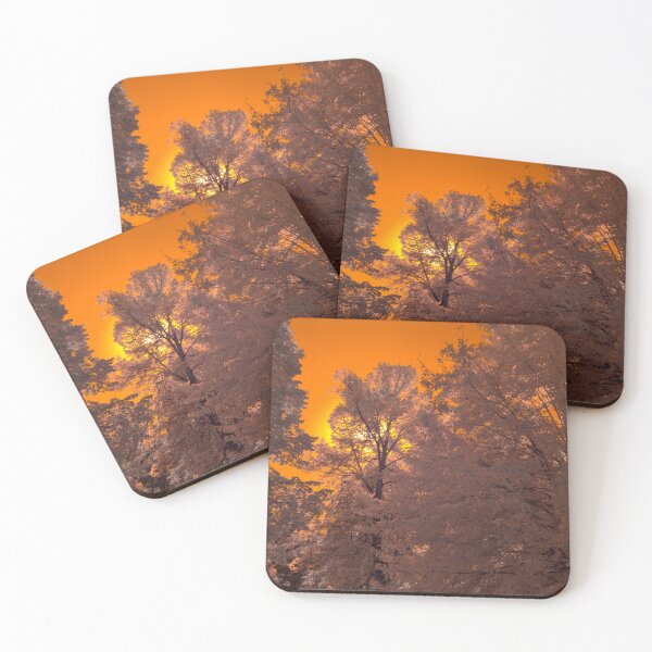 Item preview, Sunlight behind trees p2 designed and sold by Cblifeisgood.