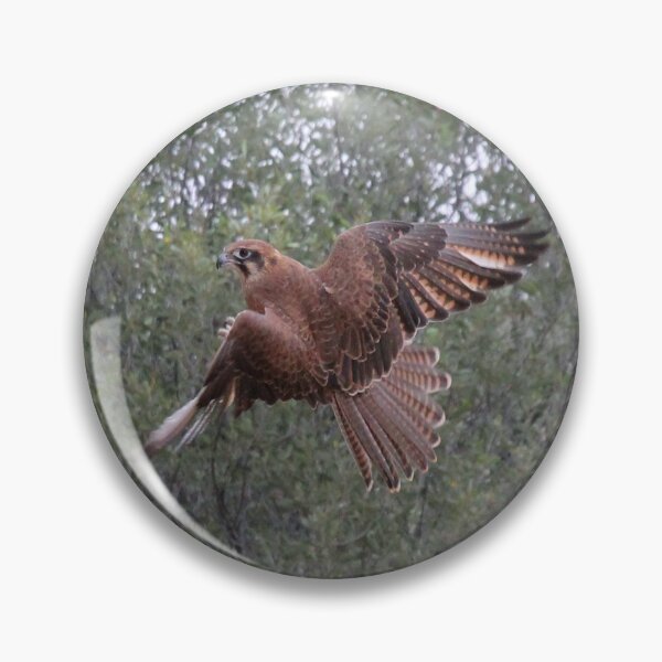 Artikelvorschau, Brauner Falke im Flug entworfen und verkauft von BirdsAlive.