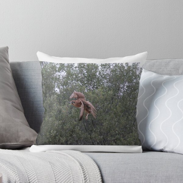 Item preview, Brown Falcon turning in Flight designed and sold by BirdsAlive.